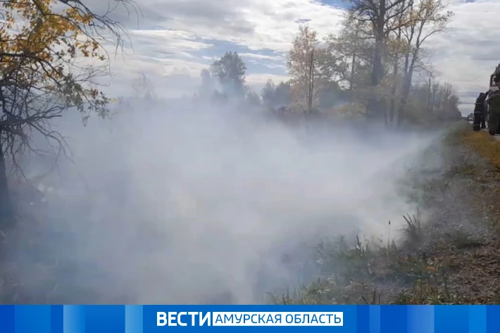 Ветер на неделю: режим повышенной готовности ввели в Благовещенске и округе  Он будет действовать с 