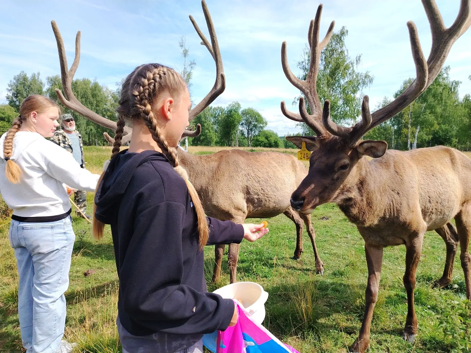 ☀️ В РВО гимназии День общения с природой! 

🦌 Мы отправились на интерактивную экскурсию в Костромс