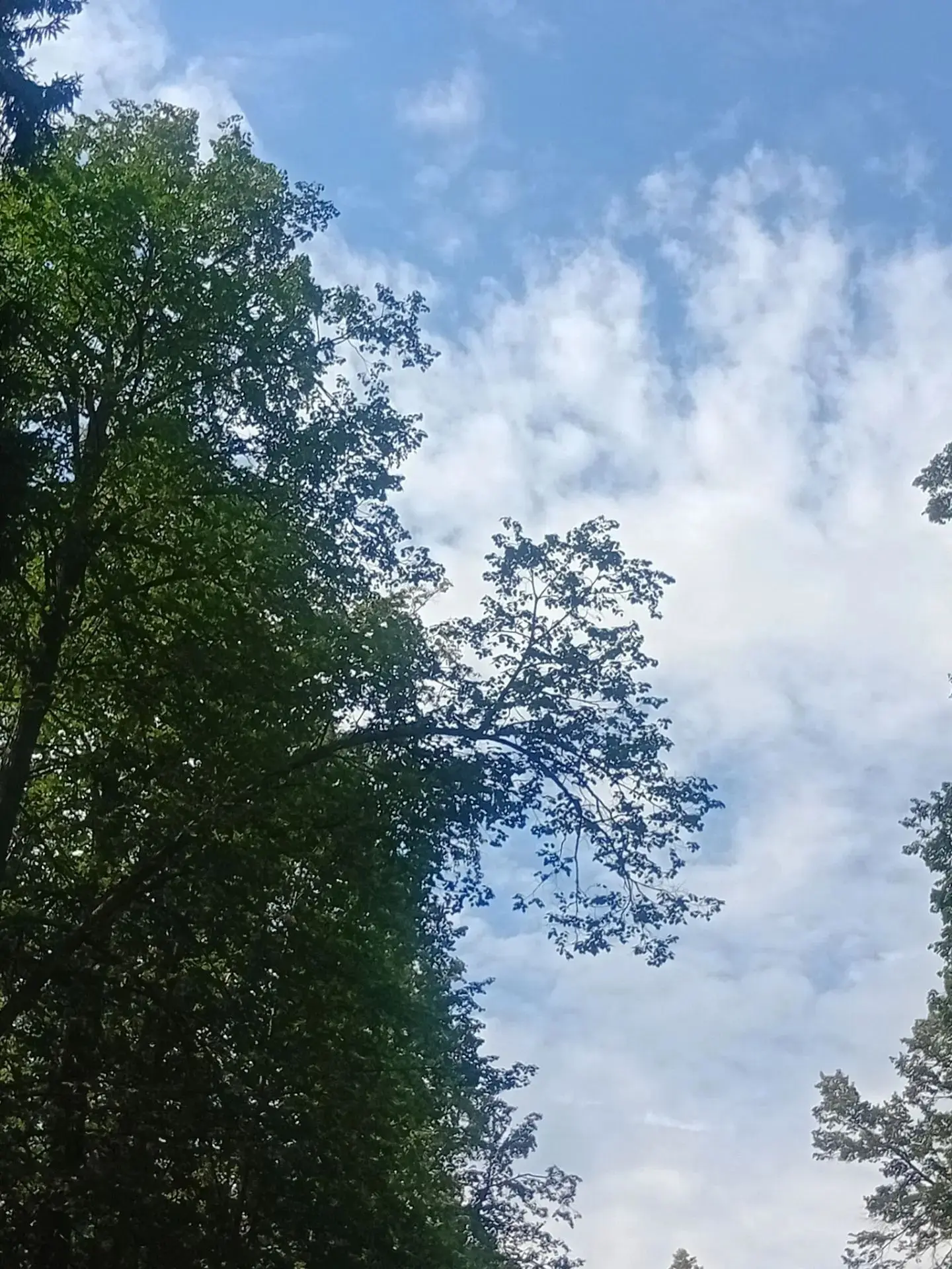 Доброе утро! 🌞