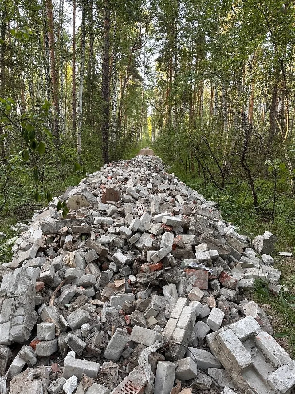 ОБЛАГОРОДИЛИ МУСОРОМ?
