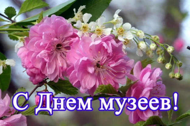 Дорогие работники музеев!