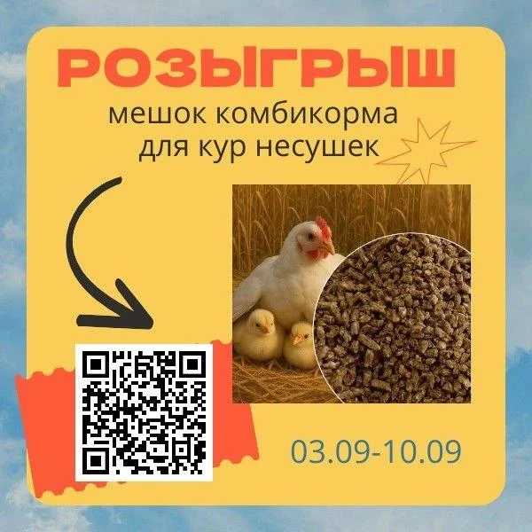 🐔 🎊ВЫИГРАЙ МЕШОК КОМБИКОРМА ЗА 10 СЕКУНД!