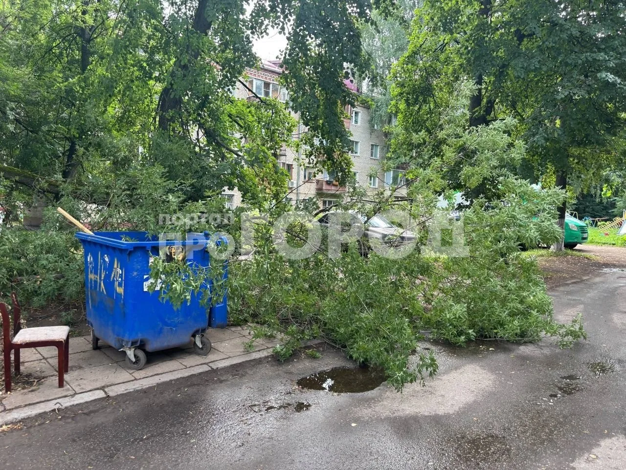 Прошедшей ночью рядом с домом по адресу Жени Крутовой, 14 непогода свалила дерево на легковушку, при