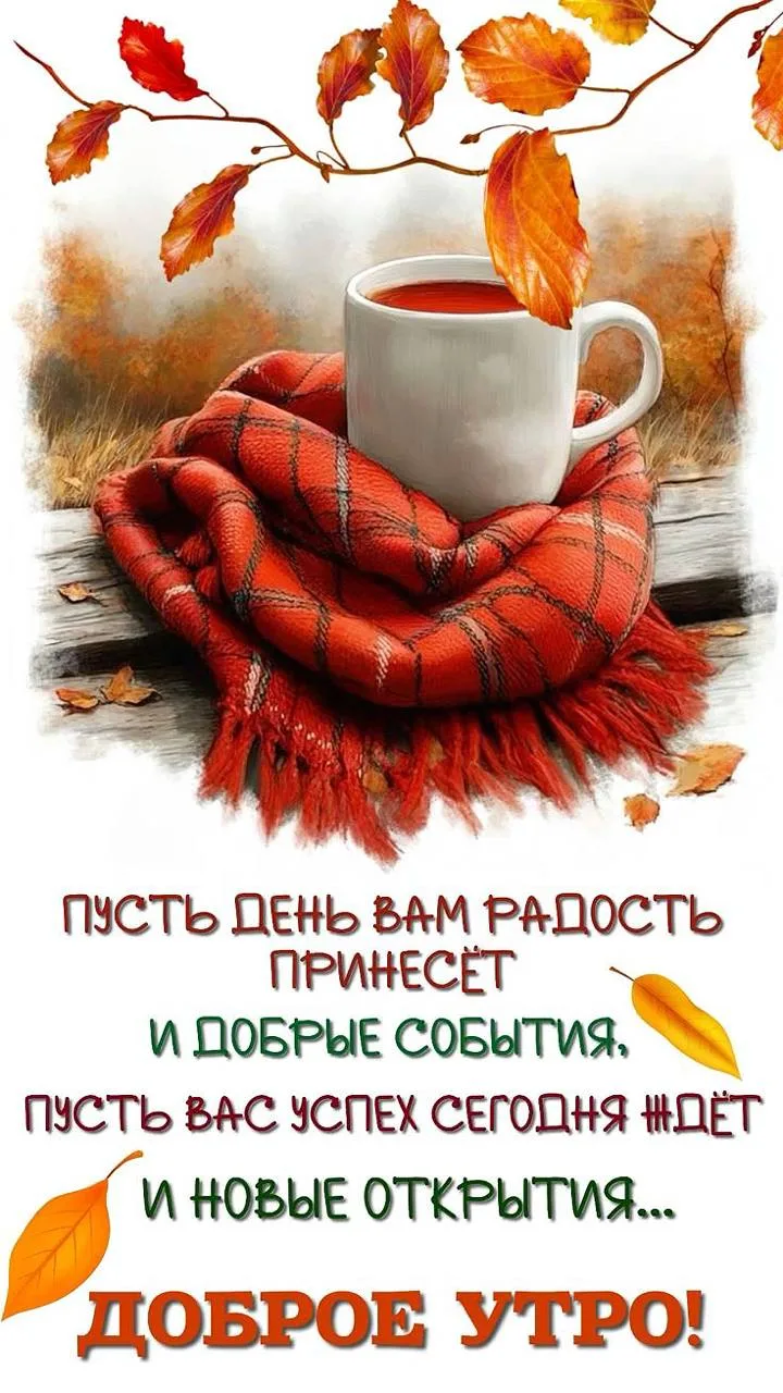 Доброе утро! 🌷