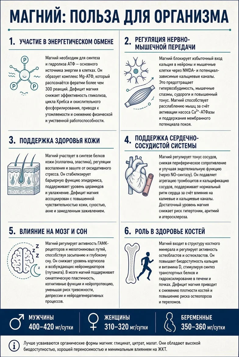 А у нас сегодня очень модный компонент: магний.