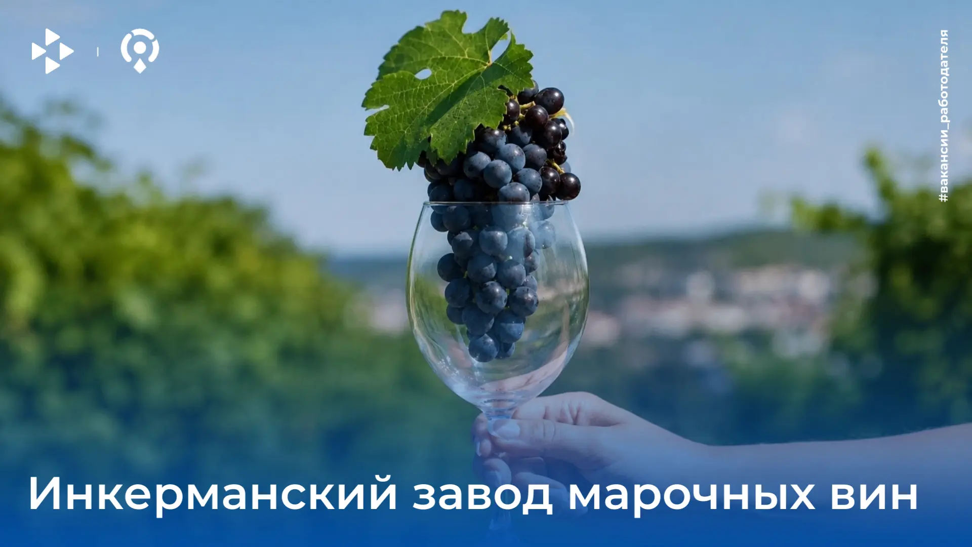 Вакансии работодателя 💼