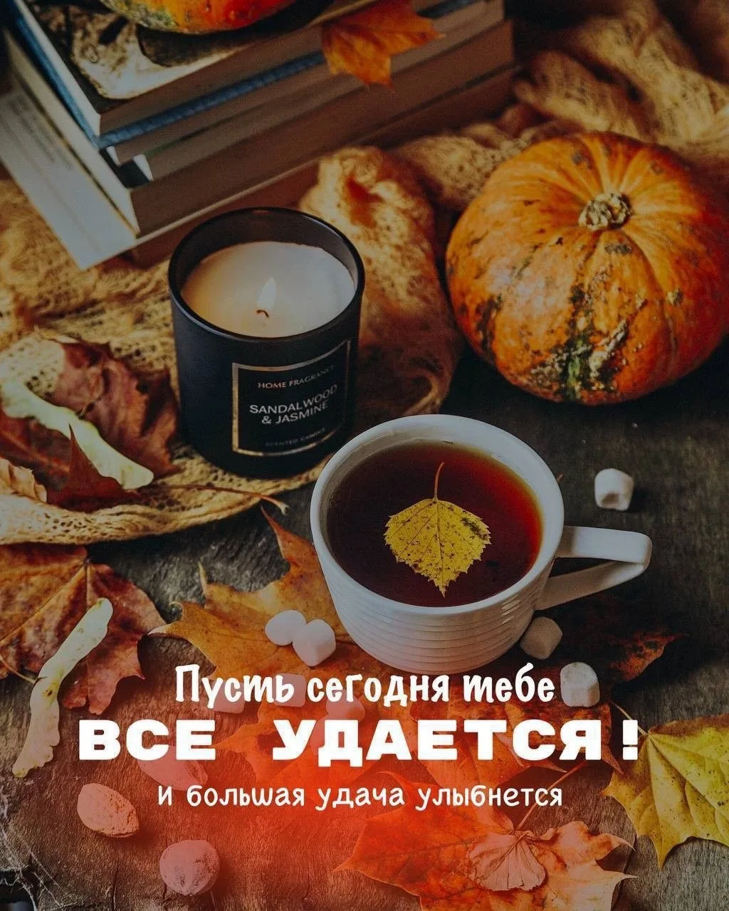 🎁Поздравления и открытки