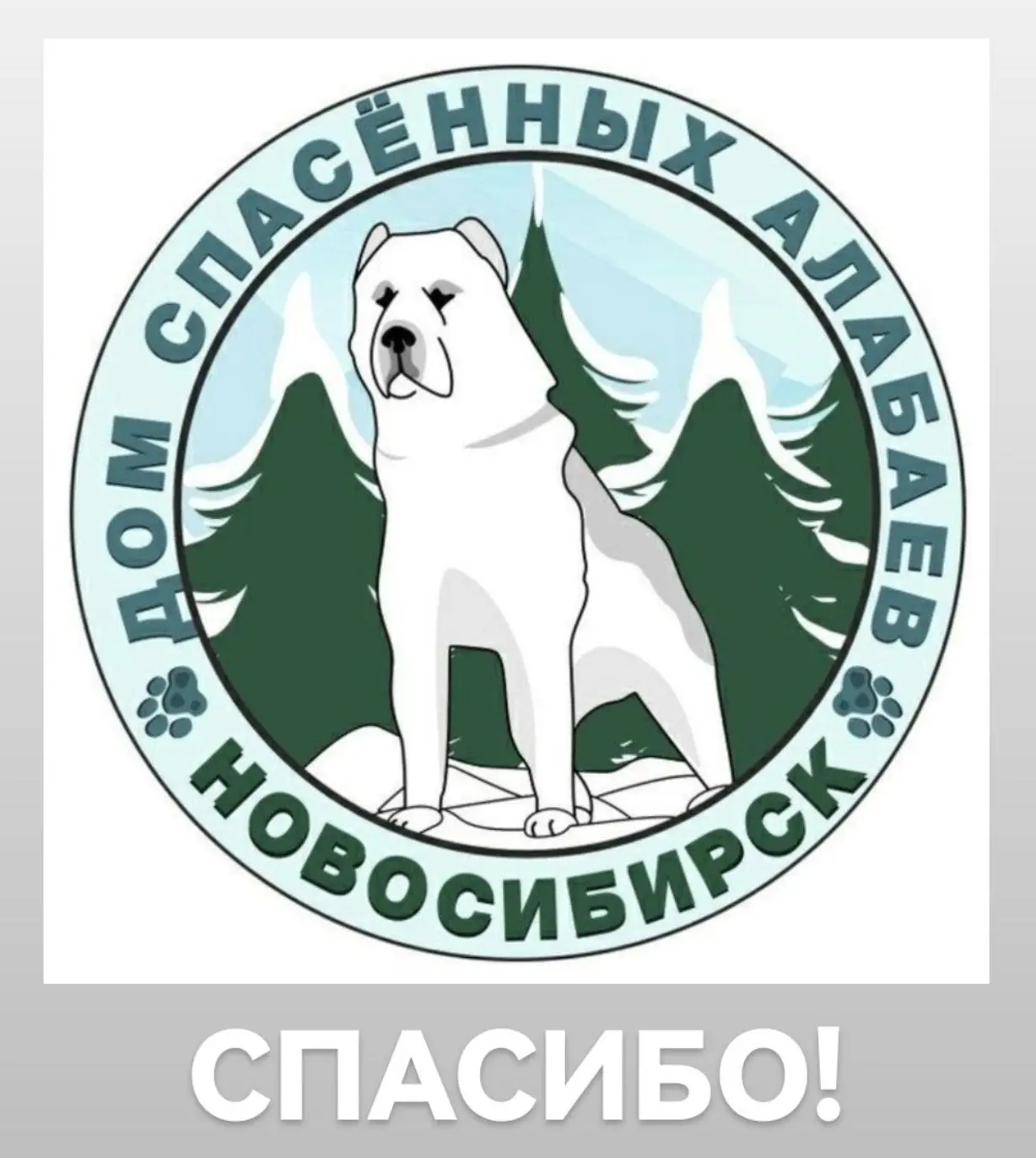 Хотим от всего сердца поблагодарить чудесных людей, которые делают нашу жизнь ярче и ко...