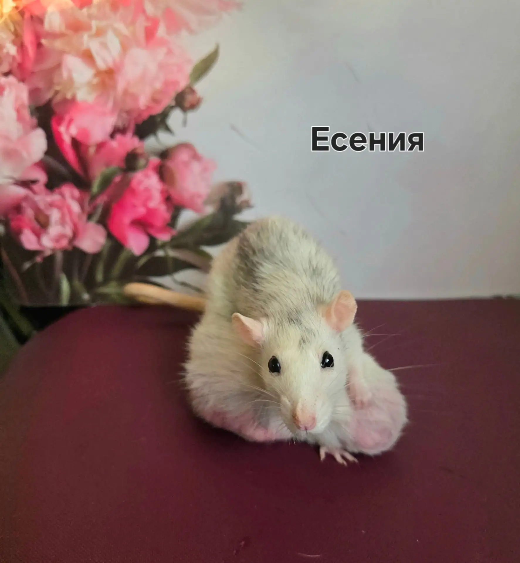 Все по классике