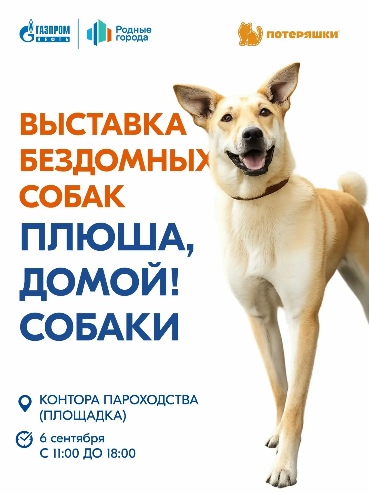 «Я пока не готов заводить животное».