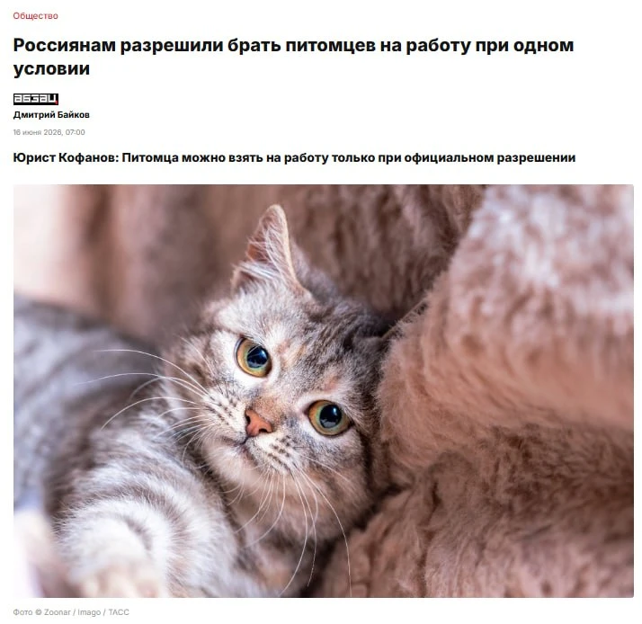 🐈Россияне имеют право приходить на работу с домашними животными, — юристы

Но для этого нужно письм