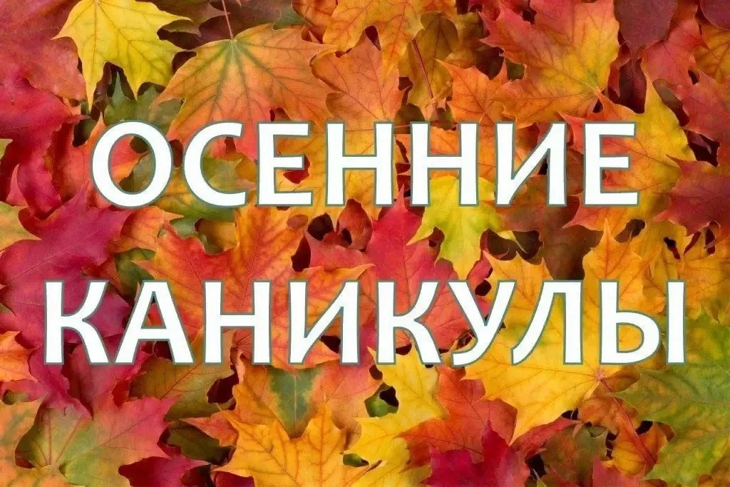 Осенние каникулы с 5 по 11 октября!