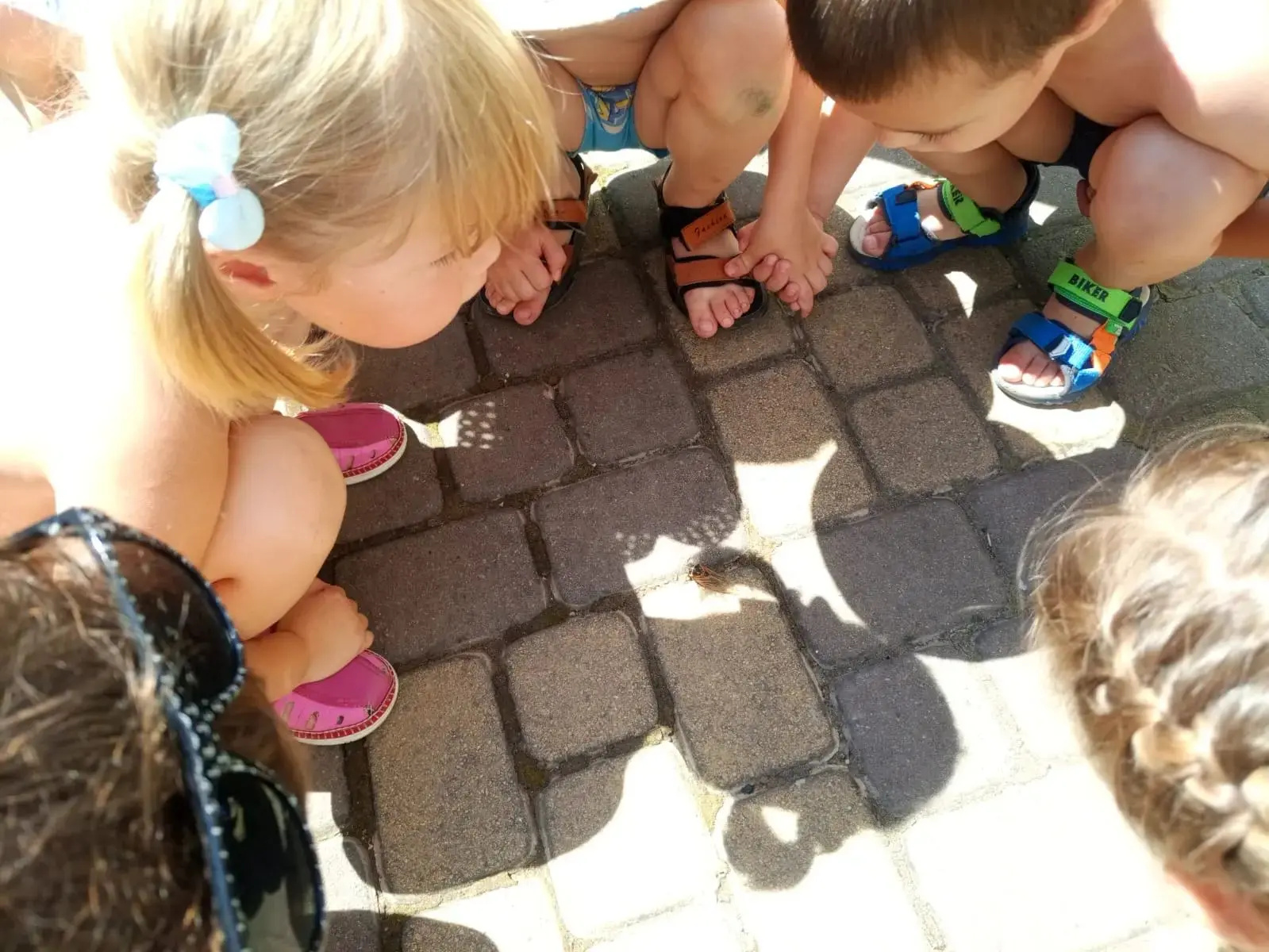Большой день маленьких энтомологов! 🦋

Сегодня наша прогулка превратилась в настоящую научную экспе