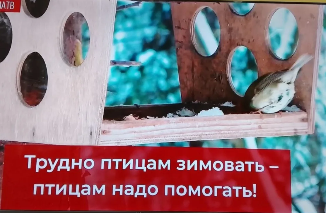 ☝️ Маленькие Орлята нашего комплекса начали новый год с больших добрых дел!   В начале недели в рамк