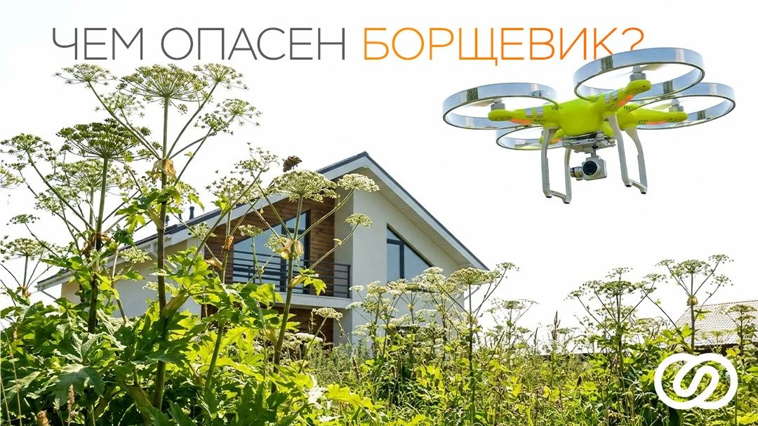 ⚡️ Штраф за борщевик от искусственного интеллекта — уже реальность.