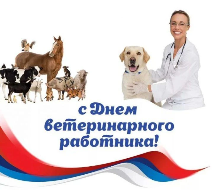🧑‍⚕🐄Департамент сельского хозяйства Брянской области поздравляет с профессиональным п...