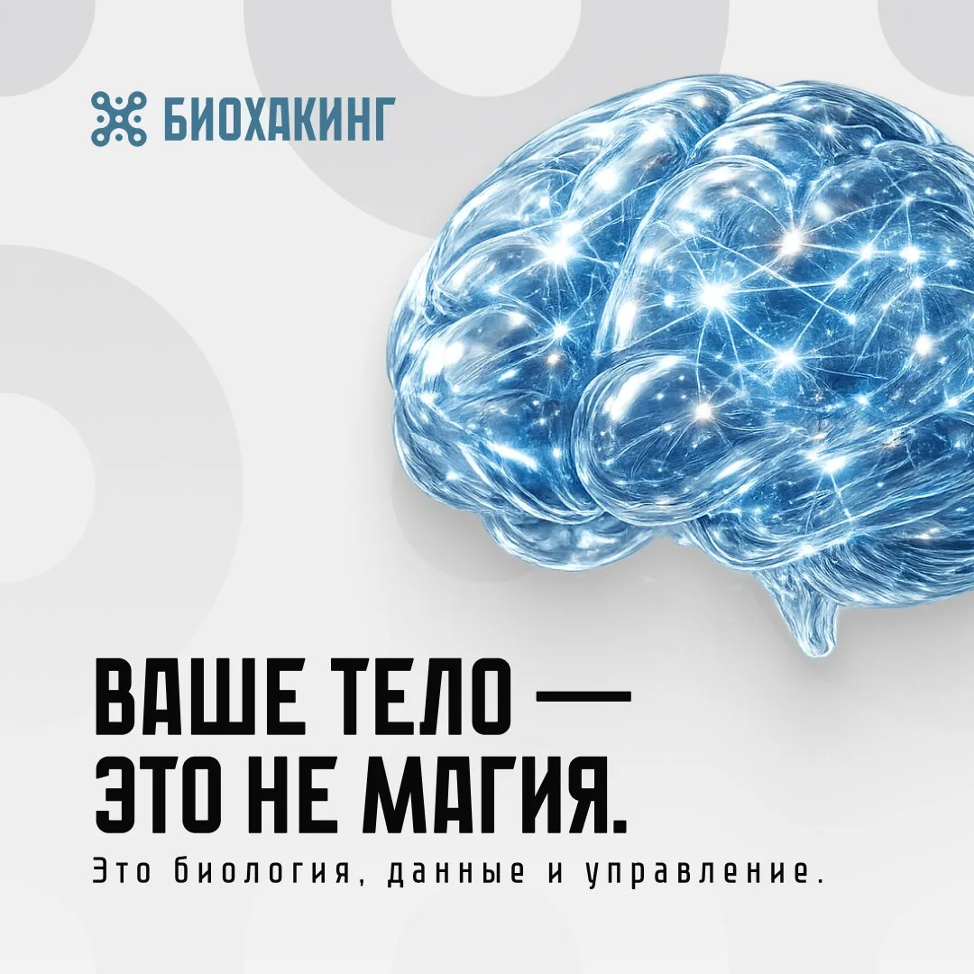 Работаем в логике превентологии
Биохакинг — это не таблетки из TikTok и не «волшебные схемы» из инте