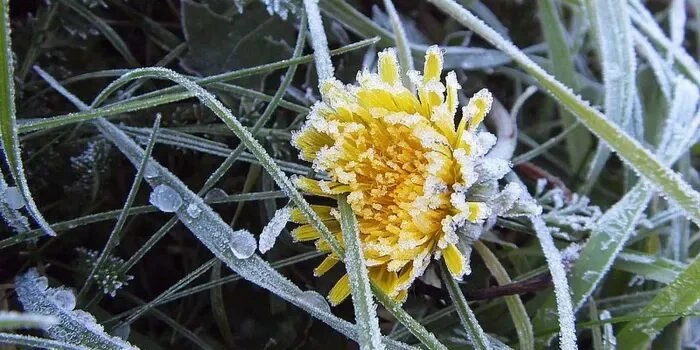 🥶 Экстренное предупреждение