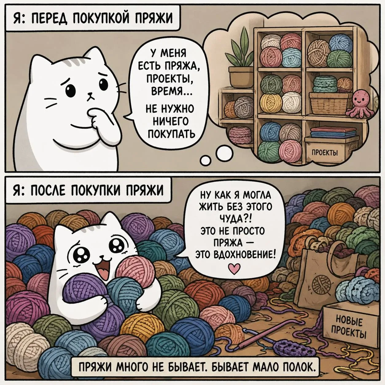 Котик знает толк 😉😁