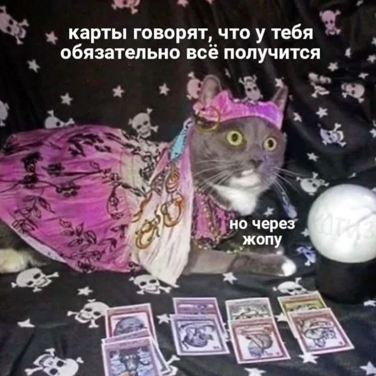42-летняя краснодарка (или краснодарыня?), называвшая себя тарологом, обманула калининградку на полл