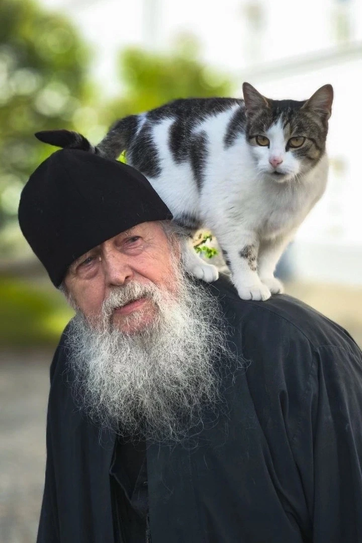 Лица православия


Макс:https://max.ru/vestnik_pravoslaviya
ВК:http://vk.com/vestnik_pravoslaviya
РУ