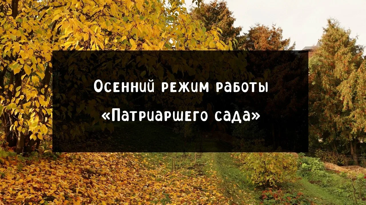 Стaнция юных нaтуpaлиcтoв "Πaтpиapший caд" пepeхoдит нa oceнний peжим paбoты.
