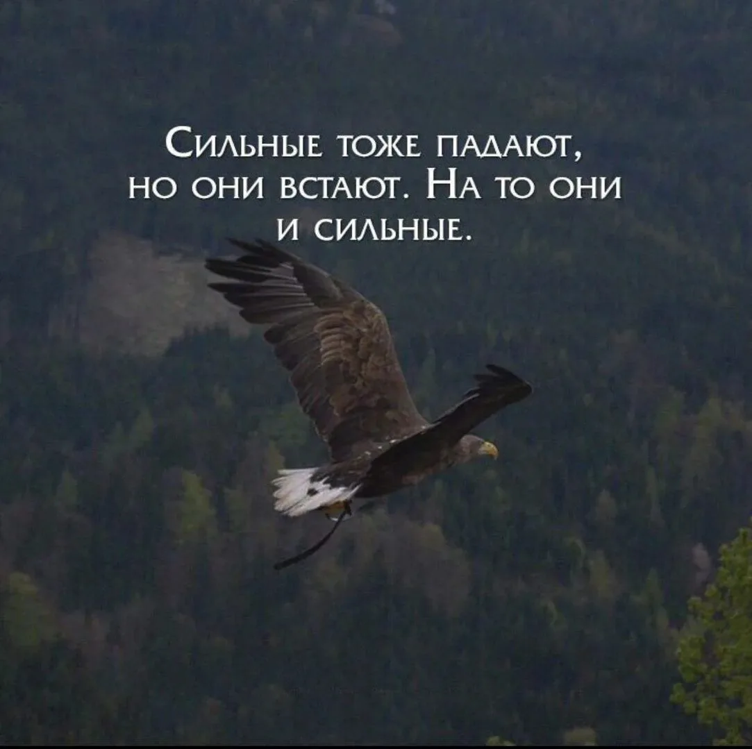 Суфийская притча: Один ученик спросил своего наставника-суфия: Учитель, что бы ты сказал, если бы уз