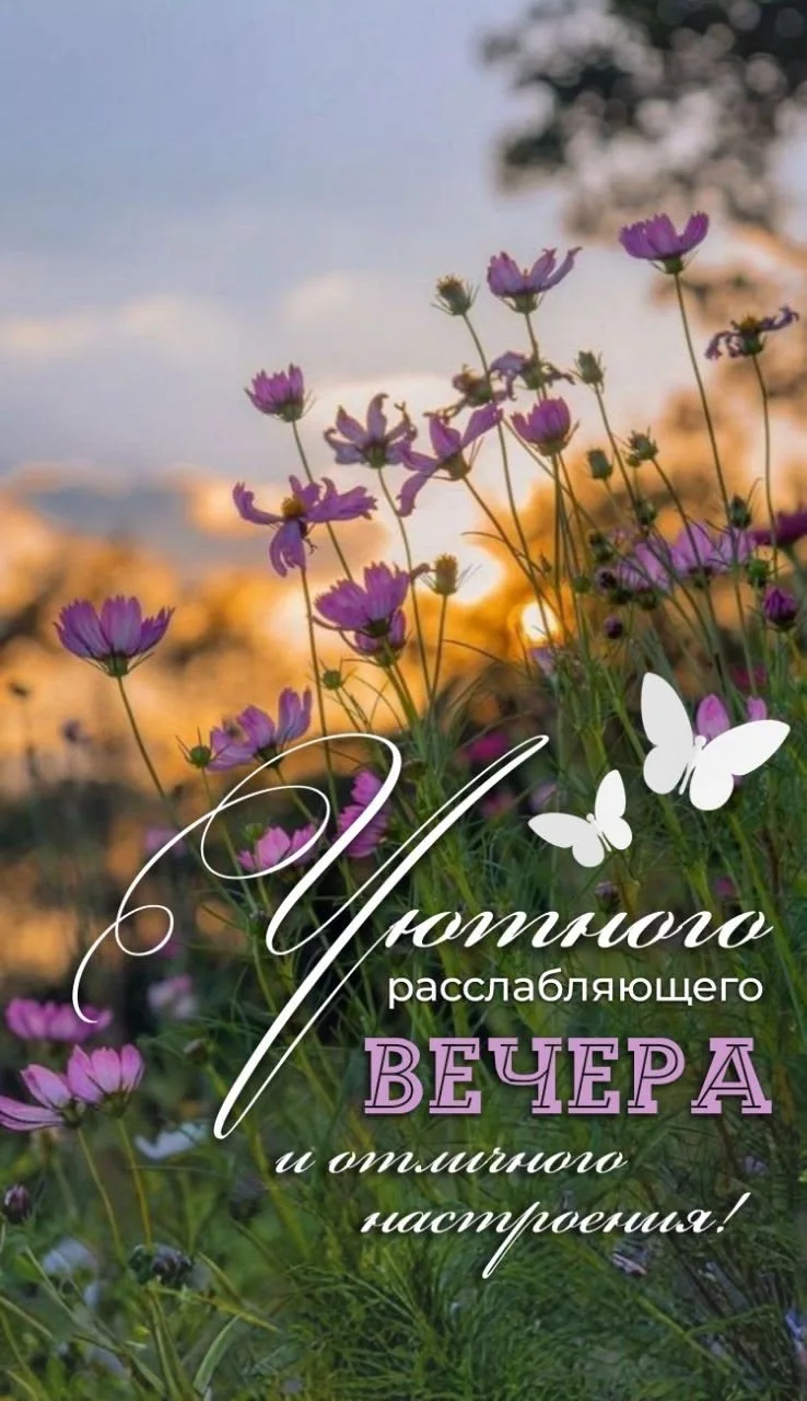 Женские открытки💝