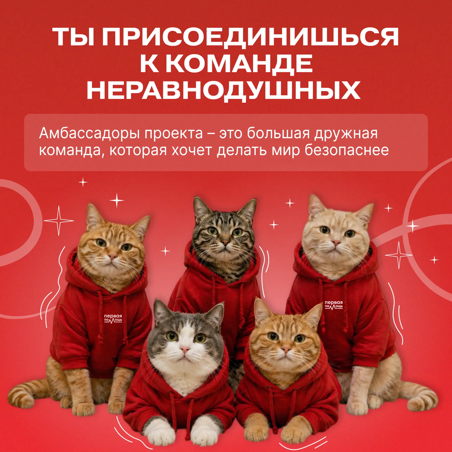 🐾 После проекта «Первые — амбассадоры Первой помощи» ты точно не скажешь, что у тебя лапки!  Решили 