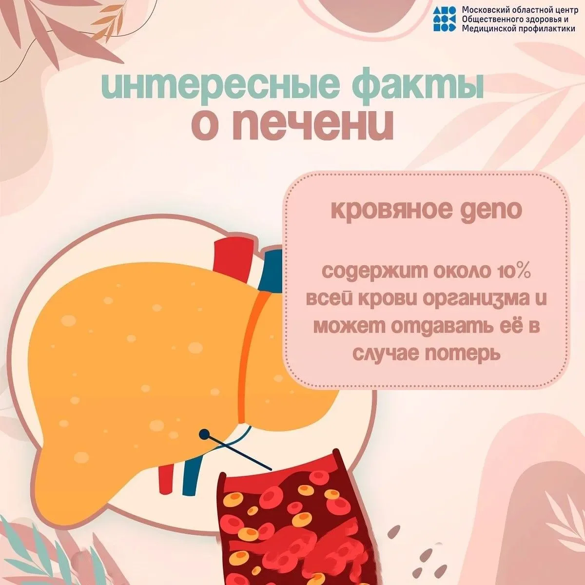 🧬 Неделя профилактики заболеваний печени: что вы знаете о своем «тихом труженике»?

В честь Междуна