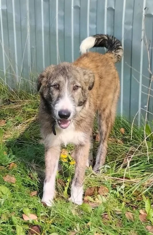 ЖИГАН  💕