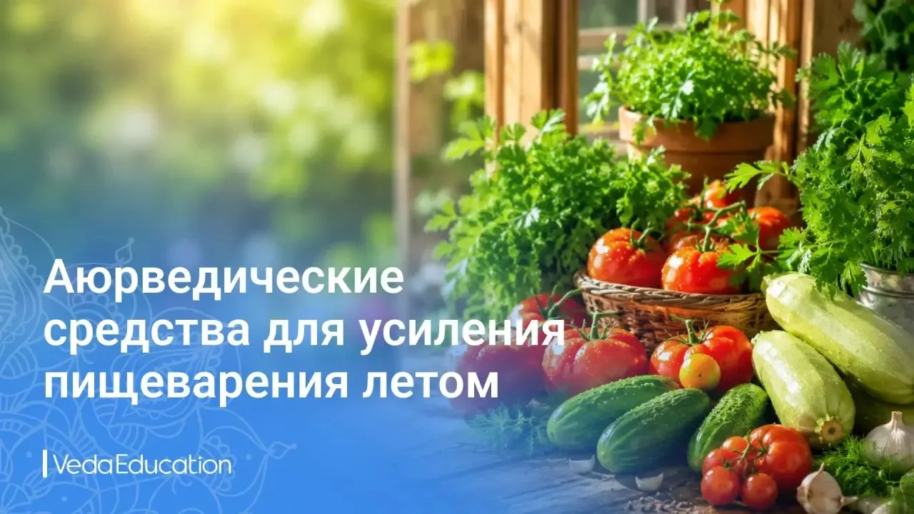 ☀️🤩🤩Именно поэтому в жарких странах, таких как Индия, традиционно готовят острую и пряную пищу - э