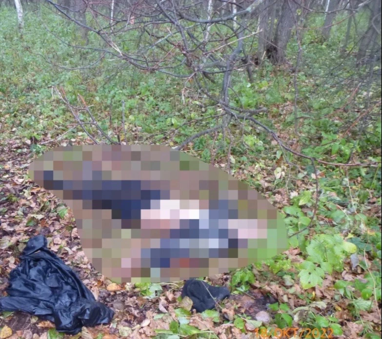 ⚡ Во дворе на Ворошилова найдено тело 

Сегодня в 9:30 в на улице Ворошилова между домами 169 и 171 