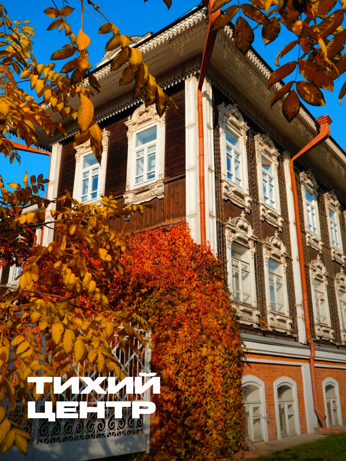 🍁 ГДЕ ВСТРЕЧАТЬ ЗОЛОТУЮ ОСЕНЬ В НОВОСИБИРСКОЙ ОБЛАСТИ?