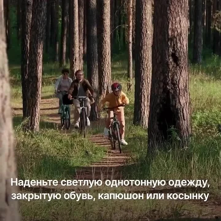 В Калининградской области продолжается сезонная активность клещей.

Их укус может привести к заражен