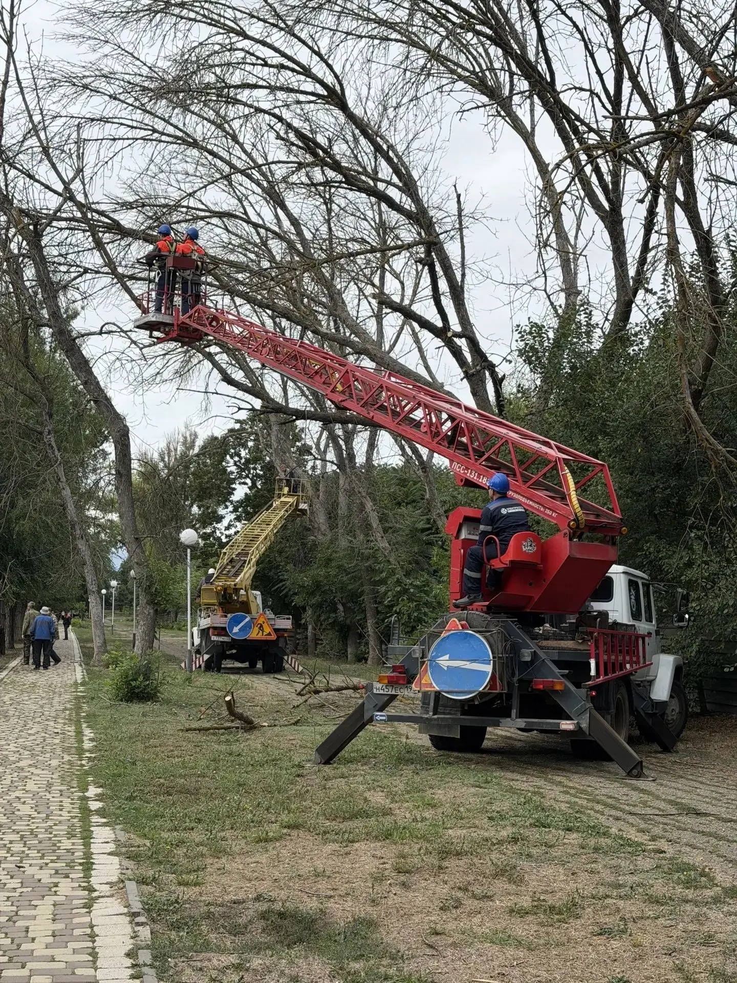 В парке Поддубного убирают сухие деревья
