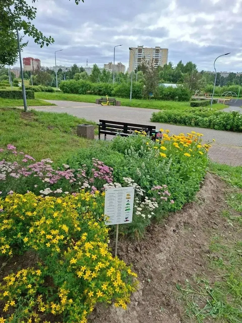 🥒 Аптекарский огород в Муринском парке радует урожаем!

Фото: АО «Калининское садово-парковое хозяй