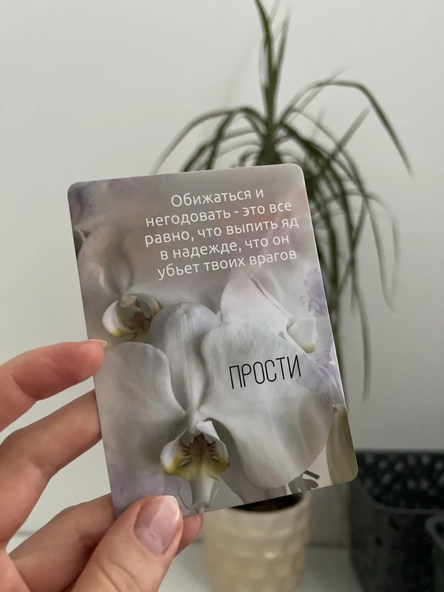 Звезды Вселенная заботится о нас ✨
