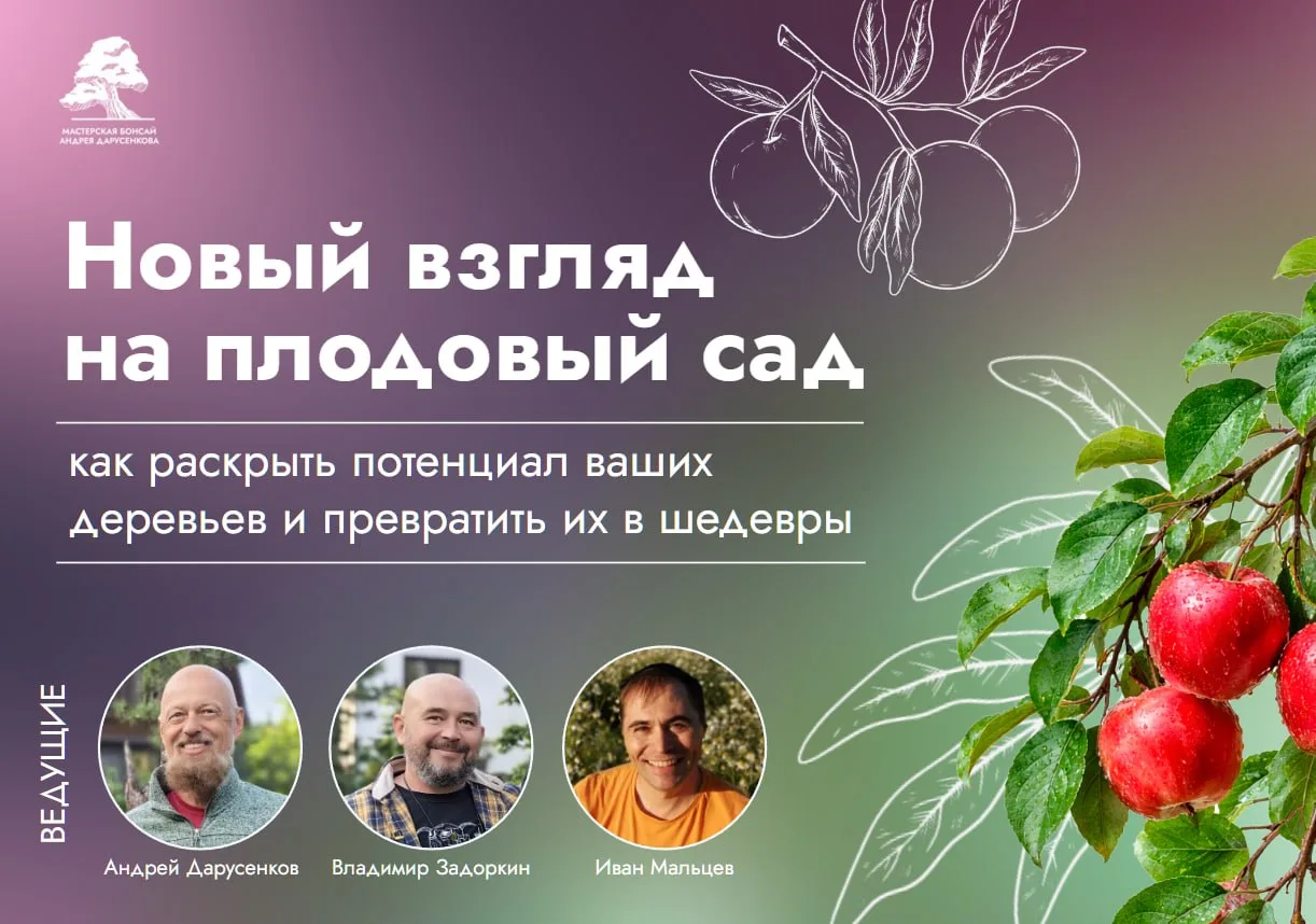 🍂 Осень на пороге — близится благоприятная пора для работы с плодовыми деревьями