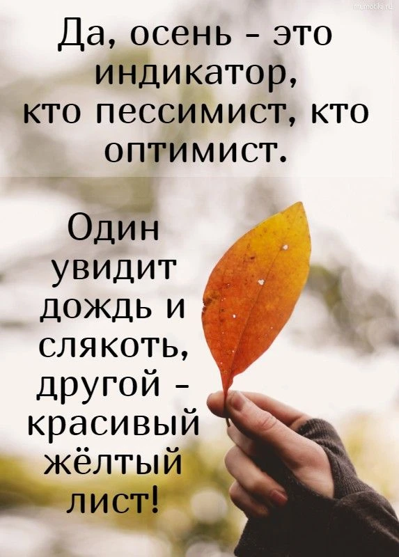 👉открытки с днем рождения👈