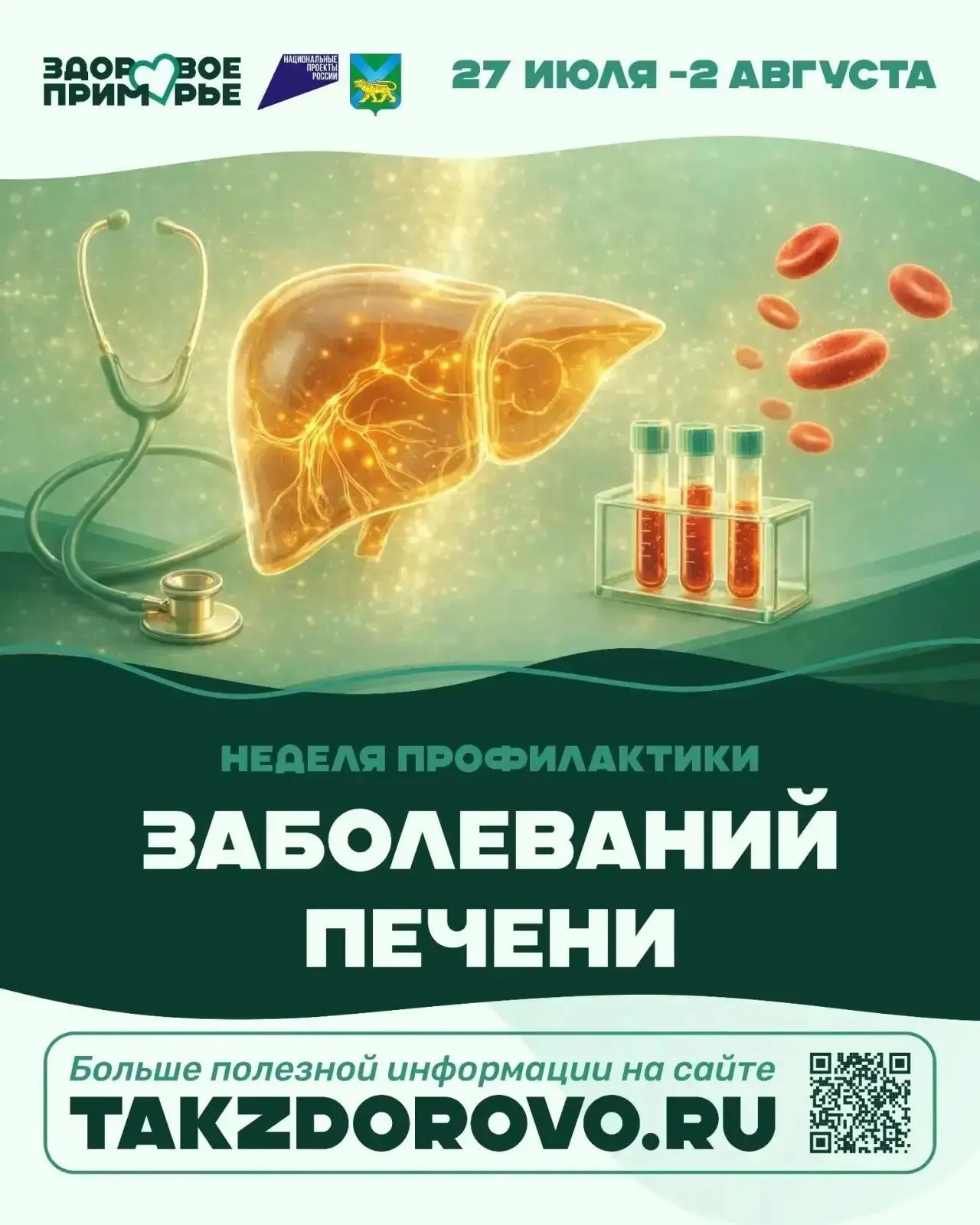 Печень — один из самых выносливых органов, но именно её «молчаливость» часто приводит к поздней диаг