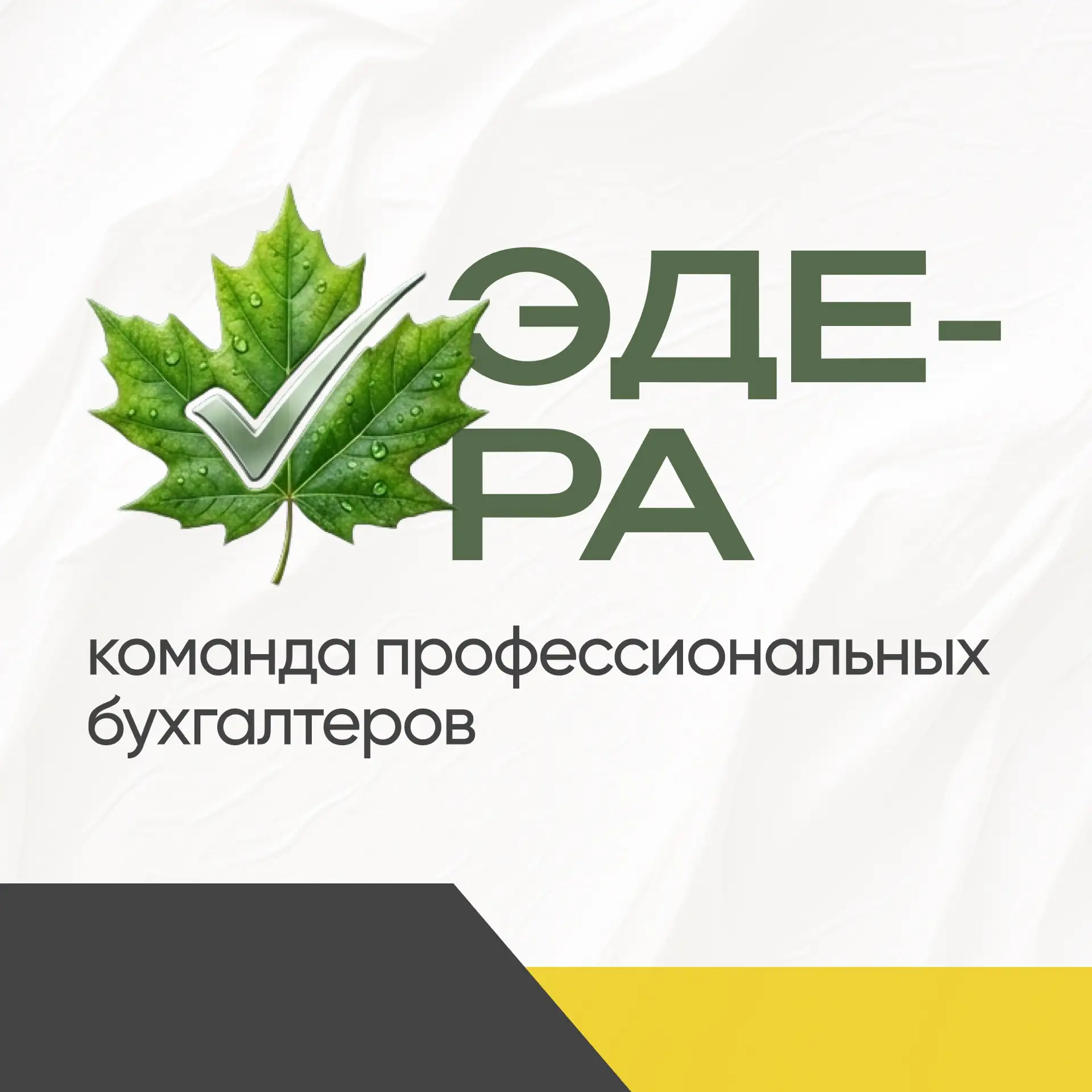 ЭДЕРА - это команда профессиональных бухгалтеров, которая берёт на себя все заботы о финансовой и на