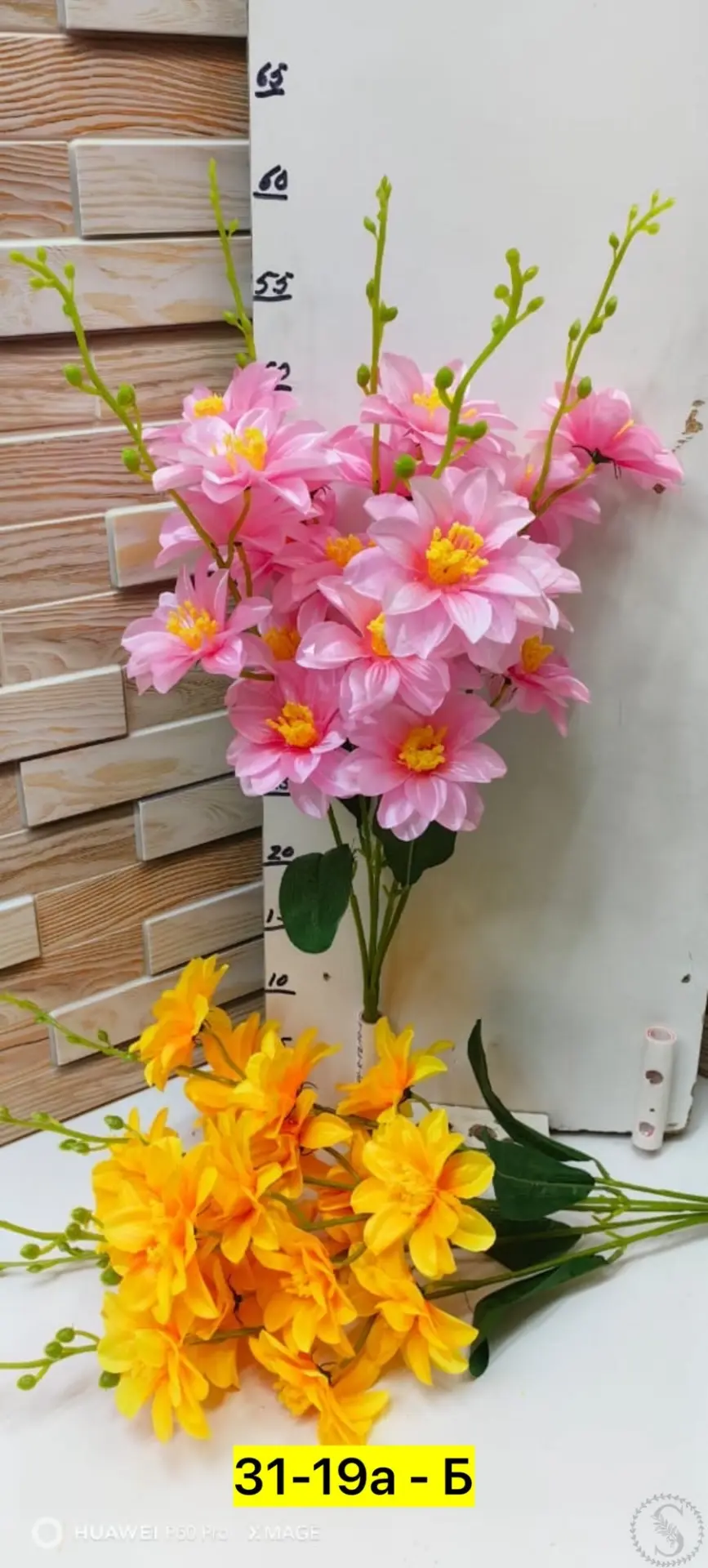 https://vk.com/photo-184814919_493444328