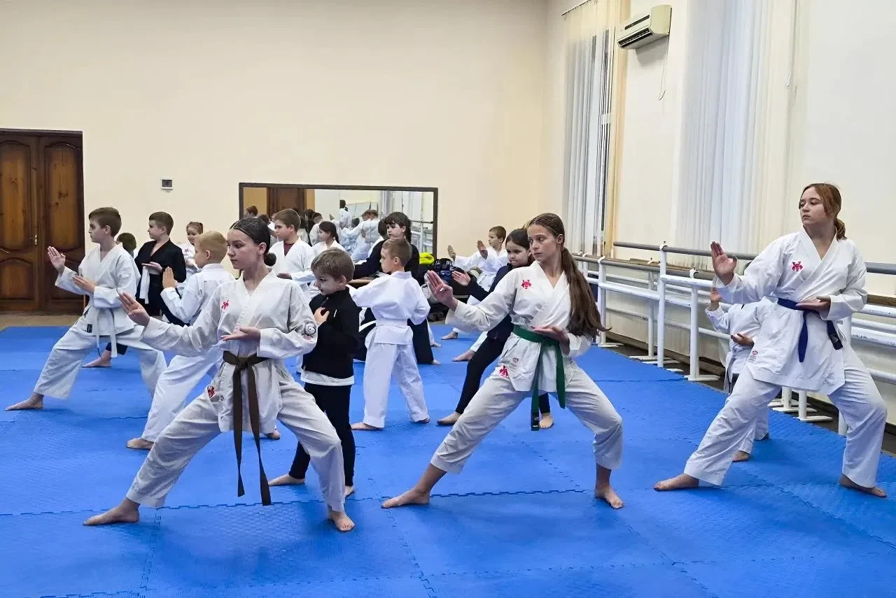 🥋 67 спортсменов занимаются карате в Старобельском округе
