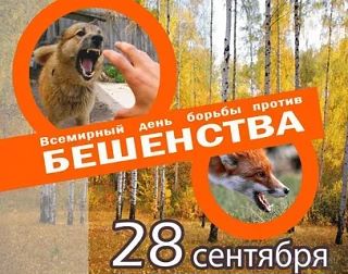 Ежегодно 28 сентября по инициативе Всемирной организации здравоохранения (ВОЗ) отмечает...