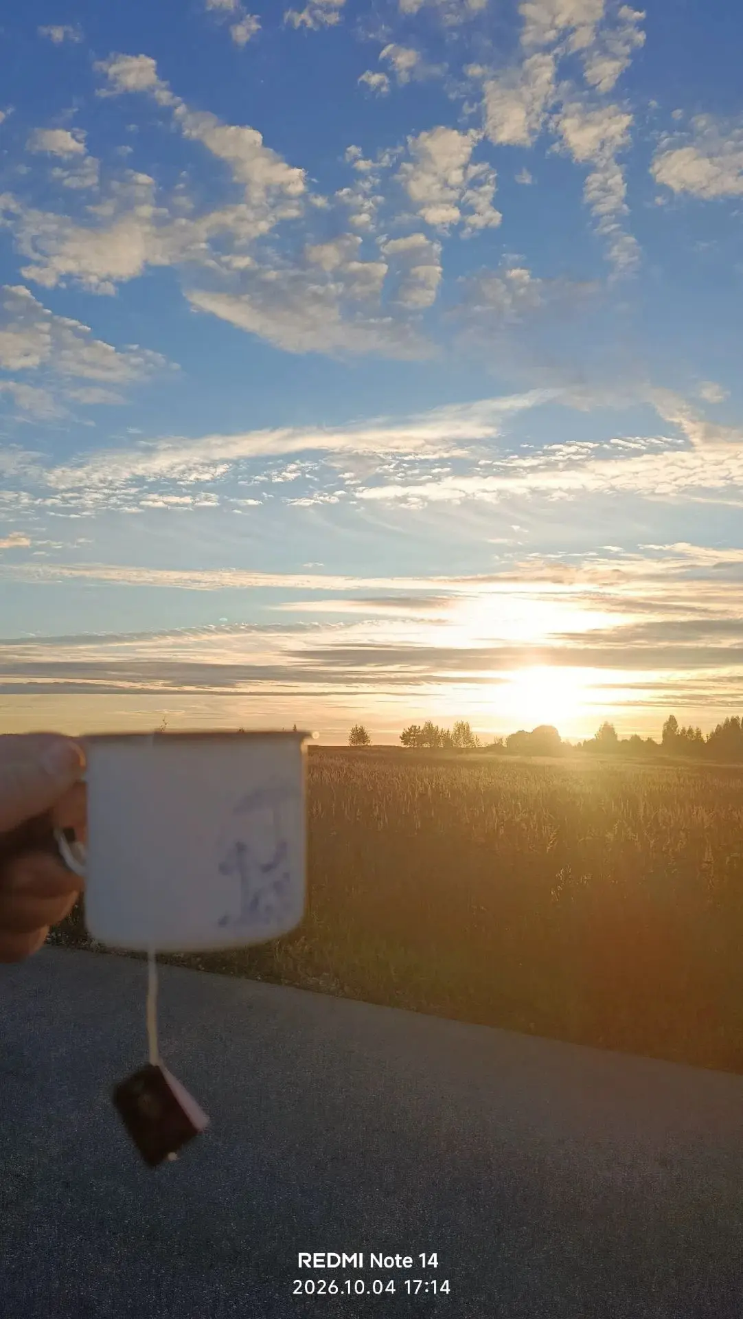 Солнце над приютом уже собирается спать… 🌅