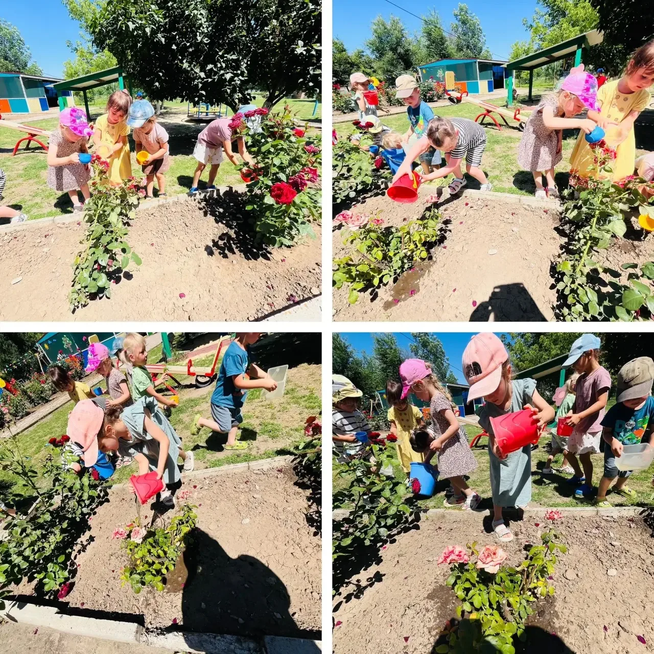 Ребята из средней группы «Коротышки» ухаживали за цветами на клумбе.

 💦🌺 Дети помогали поливать р