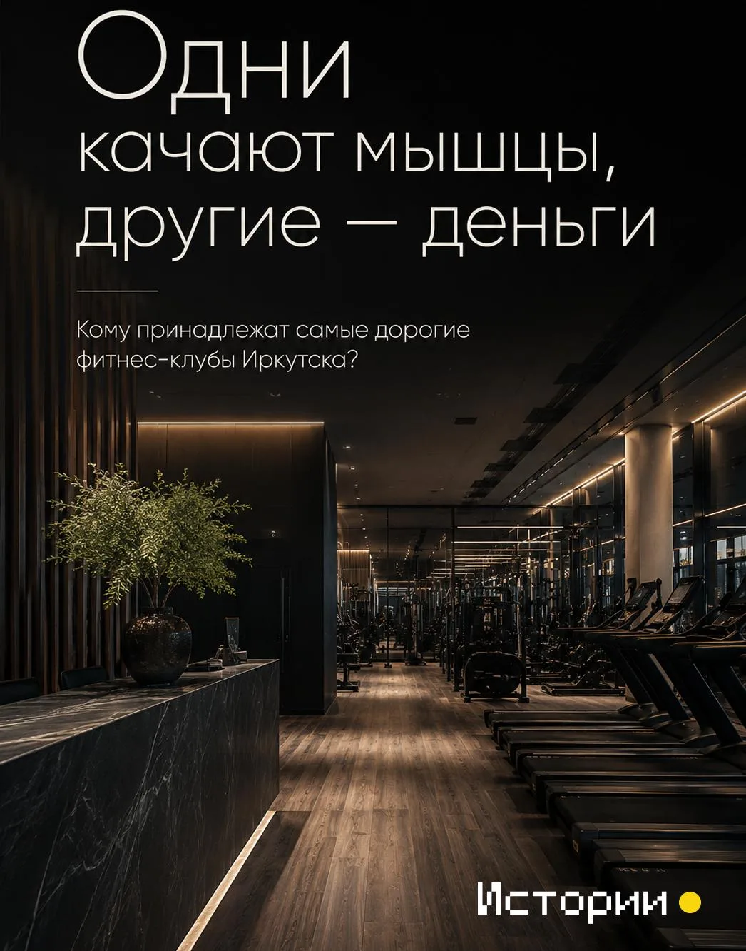 Фитнес-индустрия в России — одна из развивающихся сфер предпринимательской деятельности, которая пок