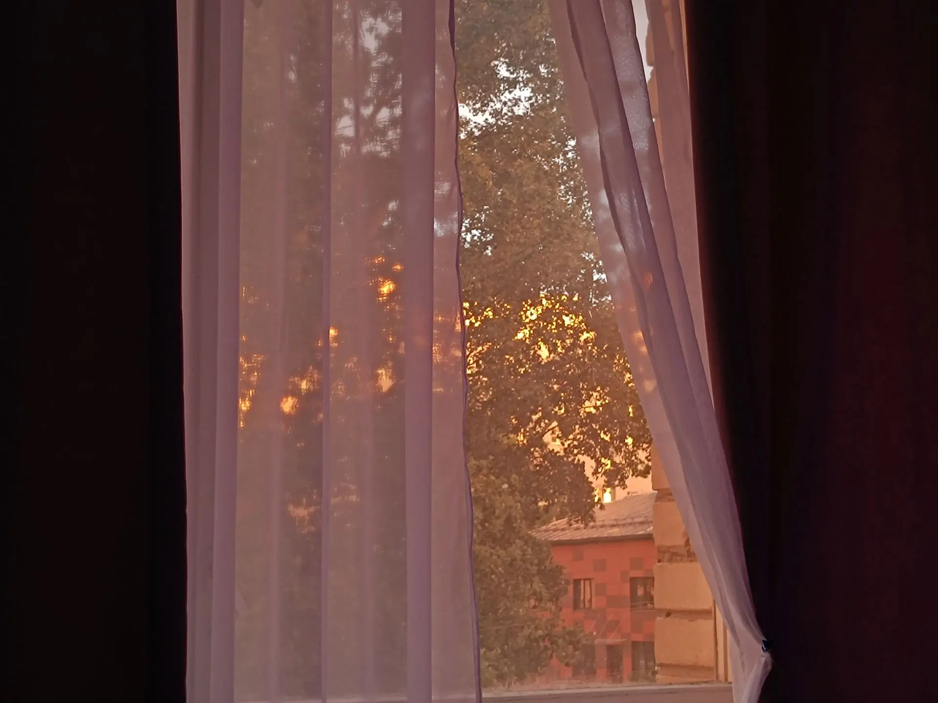 ⛅️ До +19° без осадков ожидается в Курской области 30 сентября