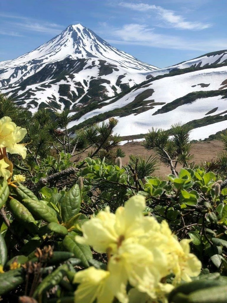 УК "КамчатЖКХ" желает всем хороших выходных! 🤗🌞👋